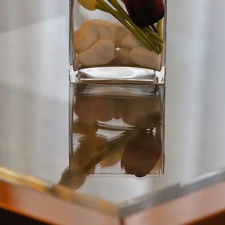 酒店 埃斯佩里亚酒店 3*